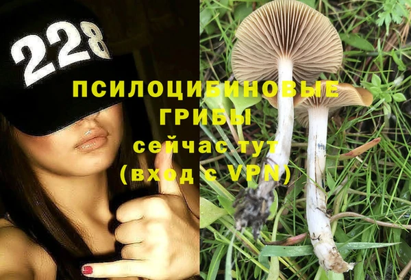 дурь Володарск