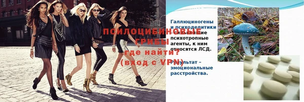 ГАЛЛЮЦИНОГЕННЫЕ ГРИБЫ Вязники