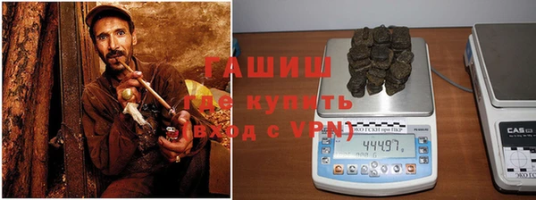 гидра Вязьма