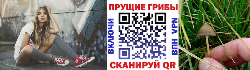 Галлюциногенные грибы GOLDEN TEACHER  Купить где  Краснотурьинск 